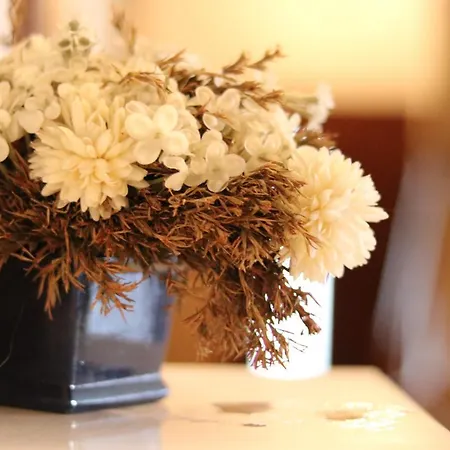 Centrum - Duży Ogród Szczawnica